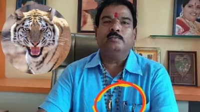 Video | वाघाची शिकार केली, दात गळ्यात घातला, आता शिंदे गटाचे आमदार संजय गायकवाड अडचणीत