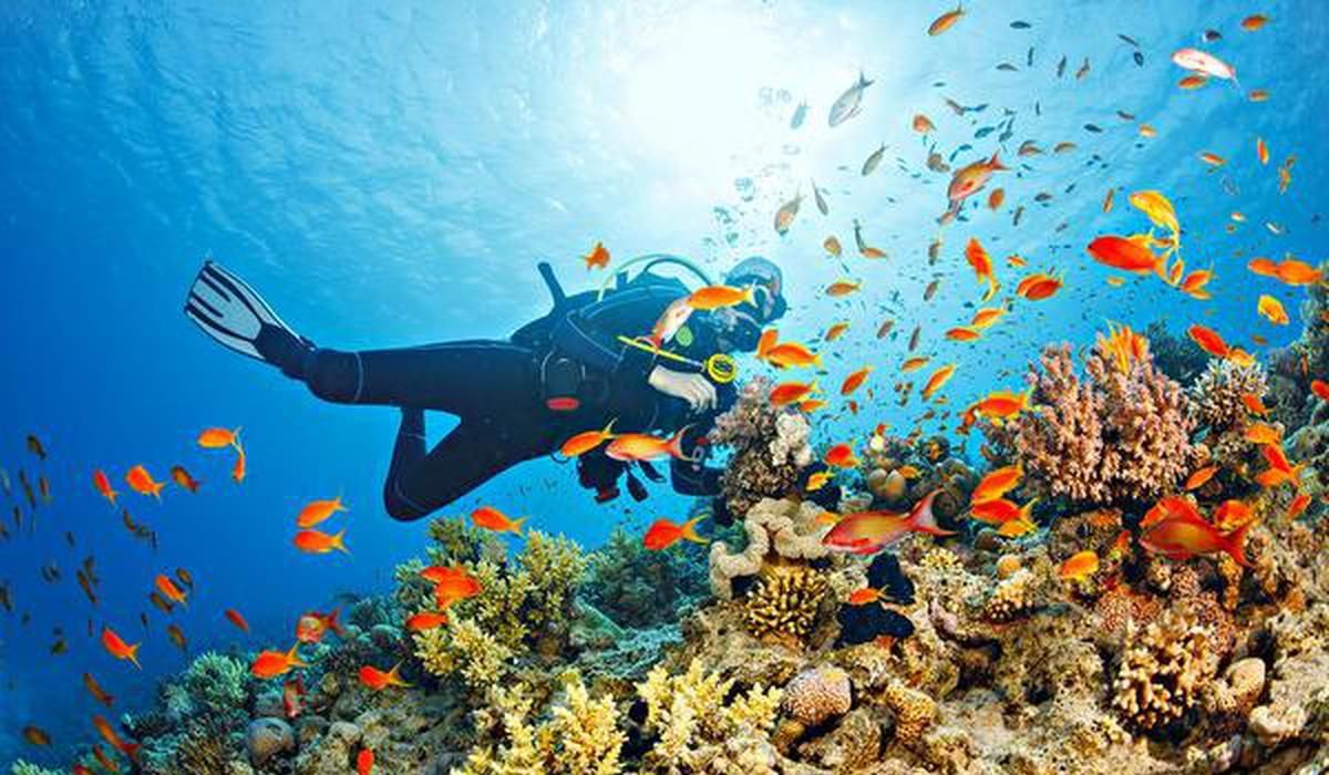 scuba diving : स्कुबा डायविंगसाठी प्रसिद्ध आहेत भारतातील ही 5 ठिकाणं