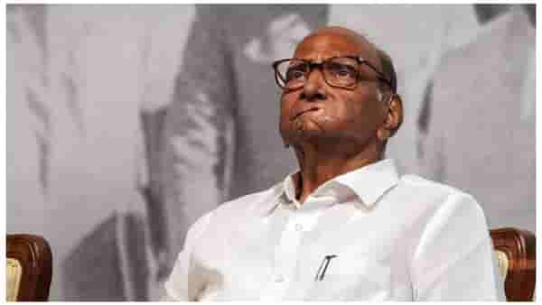 शरद पवार गट काँग्रेसमध्ये विलीन होणार? बातमीला दुजोरा; बड्या नेत्यानं म्हटलं, लवकरच…