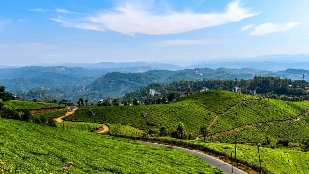 कामाचा तणाव किंवा जबाबदाऱ्यांचं ओझं सांभाळताना अनेकदा स्वत:साठी वेळच मिळत नाही. सध्याच्या घडीला प्रत्येकाचं आयुष्य अत्यंत व्यस्त झालं आहे. या व्यस्त आयुष्यातून जर तुम्ही ब्रेक घेण्याचा विचार करत असाल तर तुम्ही सोलो ट्रिपवर जाऊ शकता. भारतात अशी अनेक ठिकाणं आहेत, जिथे तुम्ही दोन ते तीन दिवसांत फिरून येऊ शकता.