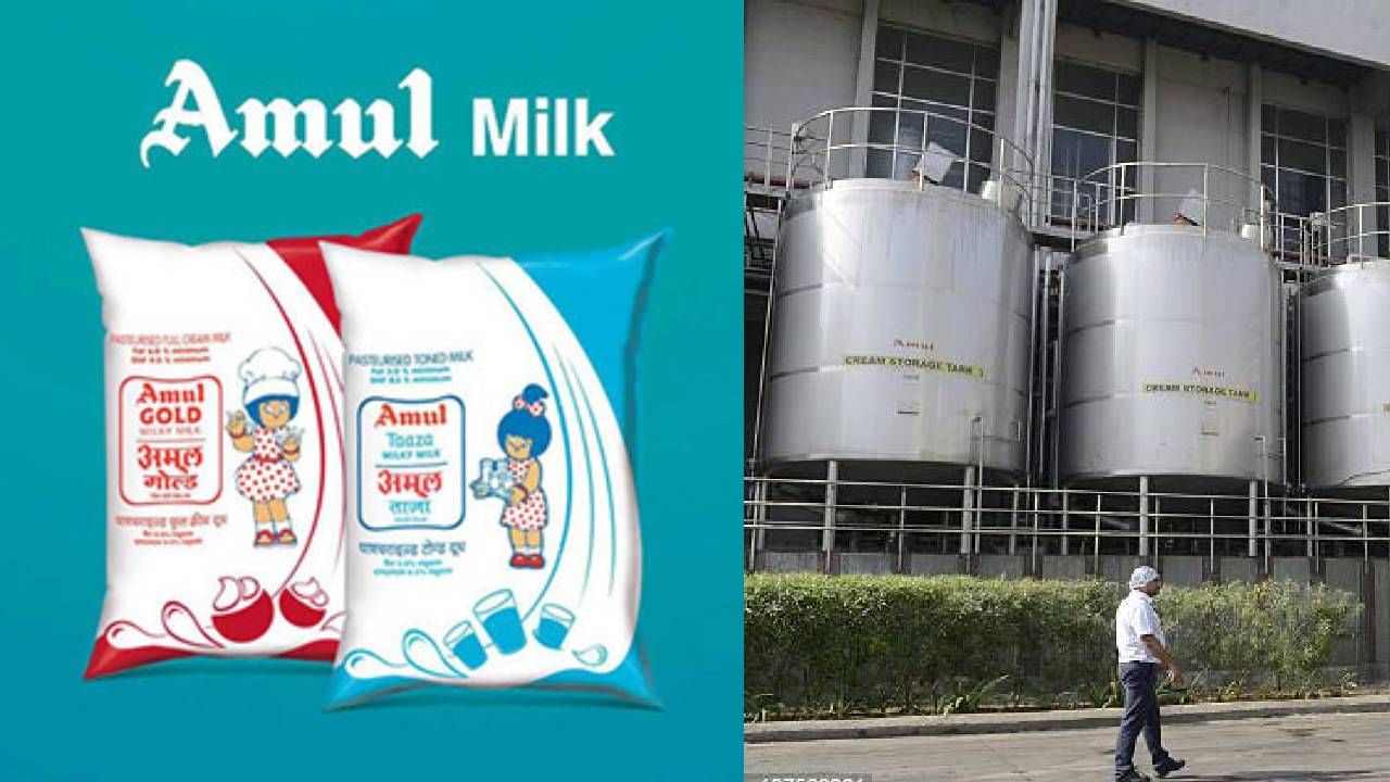 अमूल दूध पियेगा अब अमेरिका... भारतीय कंपनीची मोठी घोषणा