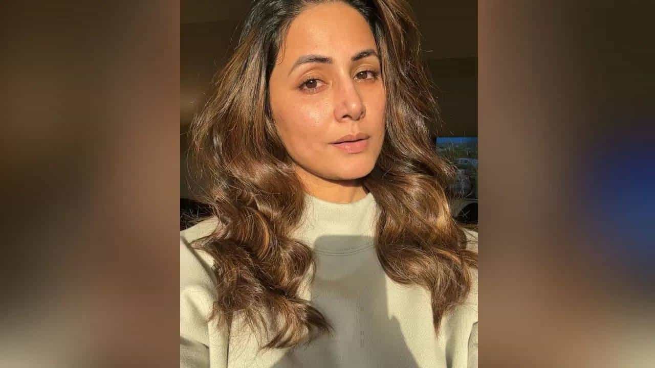हिना खान हे कायमच चर्चेत राहणारे एक नाव आहे. हिना खान हिची सोशल मीडियावर जबरदस्त अशी फॅन फाॅलोइंग ही बघायला मिळते. मोठा काळ हिना खान हिने मालिकांमध्ये गाजवला आहे.