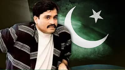 दाऊद इब्राहिम याने मुस्लिमांसाठी जे केले, त्यामुळे..., पाकिस्तानी क्रिकेटरने मान्य केले दाऊद सोबतचे नाते