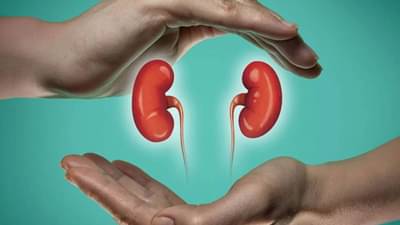 Health : किडनीचं आरोग्य उत्तम राखण्यासाठी या पदार्थांचा करा आहारात समावेश, जाणून घ्या