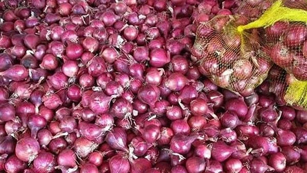 कांद्याची निर्यातबंदी उठवताच दरात वाढ, लासलगाव बाजारात...