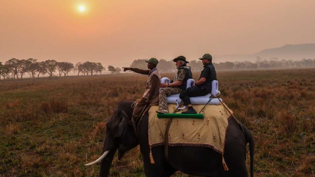 पंतप्रधान नरेंद्र मोदी यांनी आसाममधील काझीरंगा राष्ट्रीय उद्यानाला भेट दिली. तिथे त्यांनी जंगलसफारीचा आनंद लुटला. तसंच पंतप्रधान मोदी यांनी हत्तीवर बसून जंगल सफारी केली.  