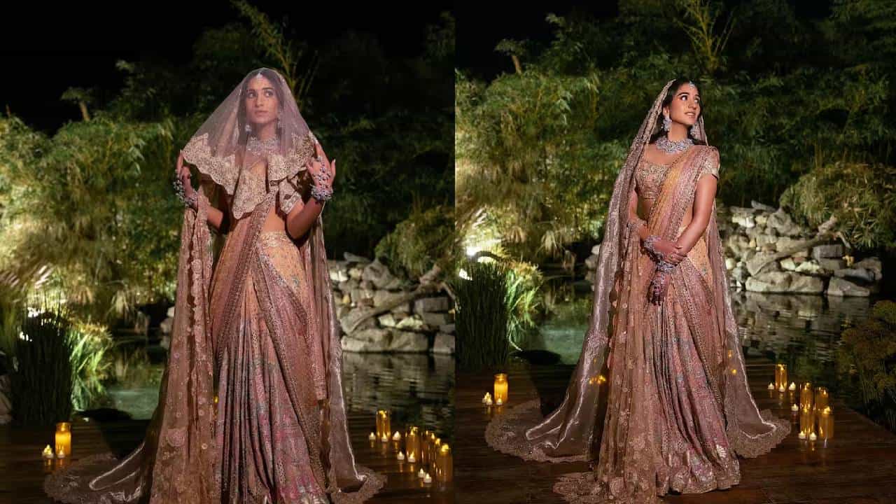 अनंत अंबानी आणि राधिका मर्चंट यांचे काही दिवसांपूर्वीच प्री वेडिंग फंक्शन हे गुजरातमध्ये पार पडले. या फंक्शनला देश आणि विदेशातून पाहुणे पोहचले होते. या फंक्शनचे अनेक फोटो आणि व्हिडीओ तूफान व्हायरल होताना दिसत आहेत.