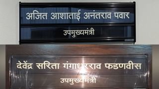 ‘आमचा सन्मान केला नाही तर…’, भरत गोगावले यांचा जागावाटपावरुन भाजपला टोला