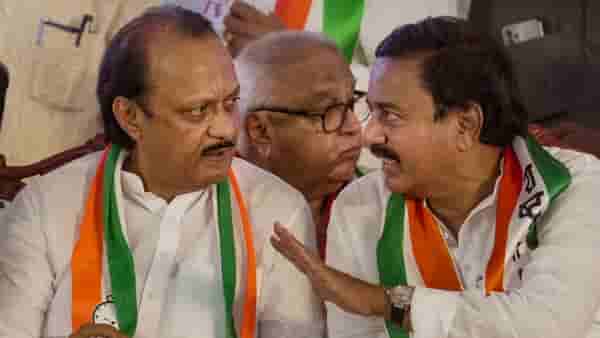 मोठी बातमी! लोकसभा निवडणुकीच्या निकालाआधी राष्ट्रवादीत हालचाली वाढल्या, सुनील तटकरे यांचे पदाधिकाऱ्यांना निर्देश