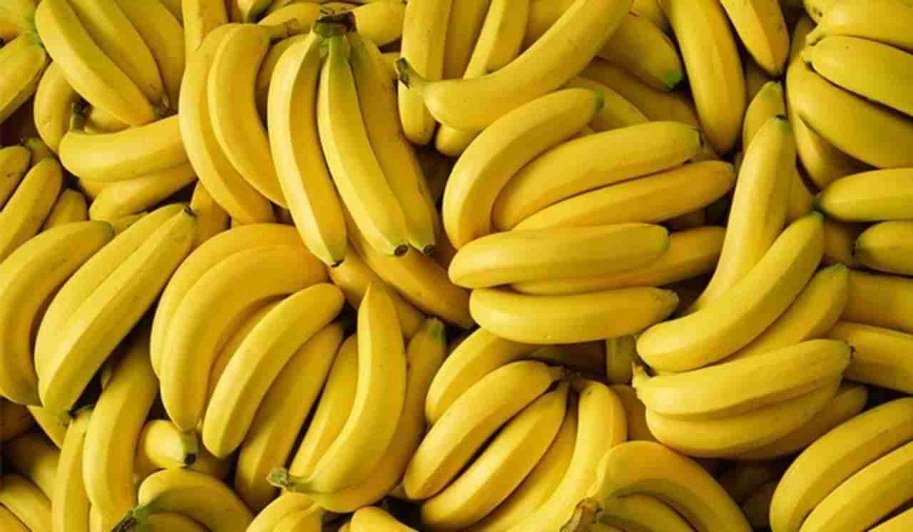 उन्हाळा झालाय सुरु, जाणून घ्या या सीजनमध्ये केळी खाण्याचे फायदे काय?