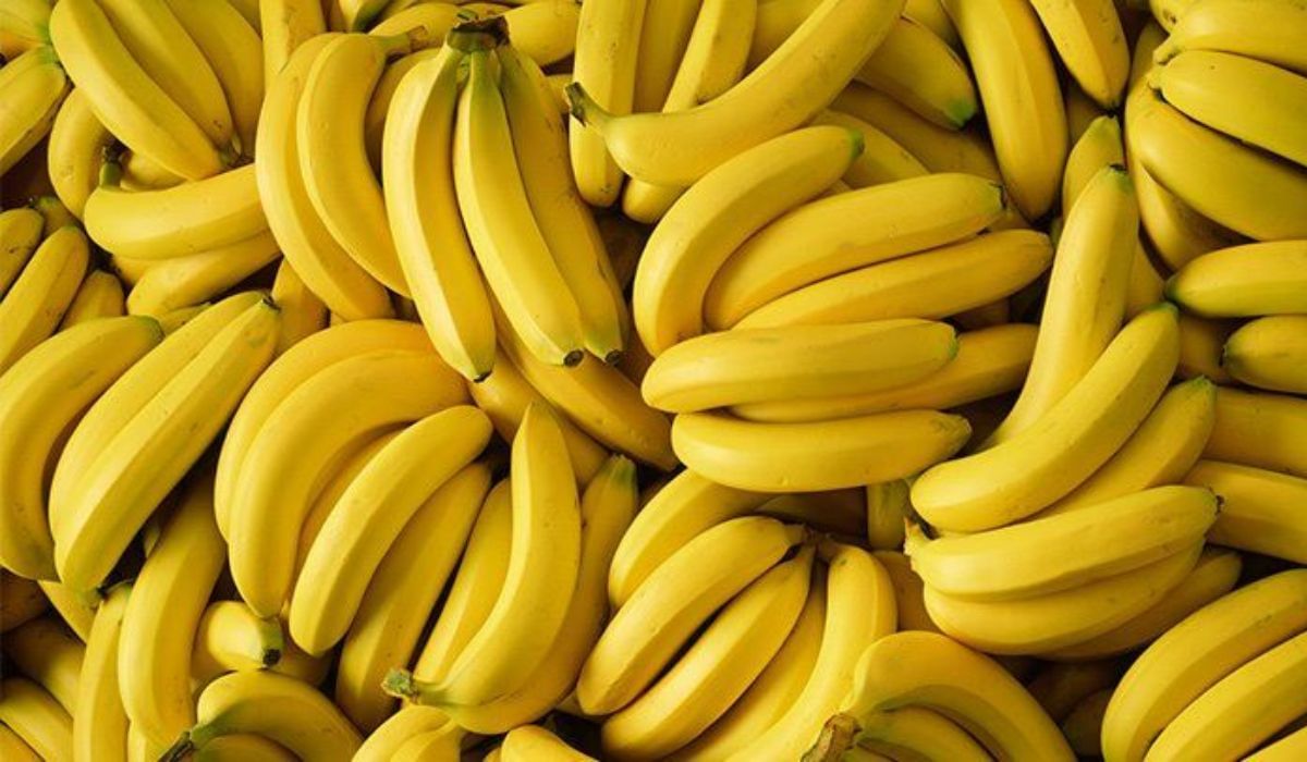उन्हाळा झालाय सुरु, जाणून घ्या या सीजनमध्ये केळी खाण्याचे फायदे काय?