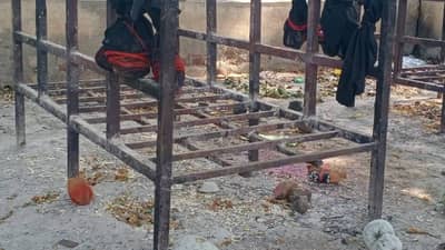 स्मशानात हे काय? बाहुल्यांसोबत मुलामुलींचे फोटो?; जिल्ह्यात खळबळ