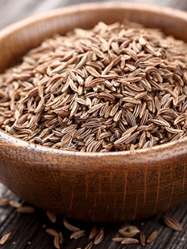 Cumin Benefits जीरे खाण्याचे हे फायदे अनेकांना माहित नाहीत TV9 Marathi