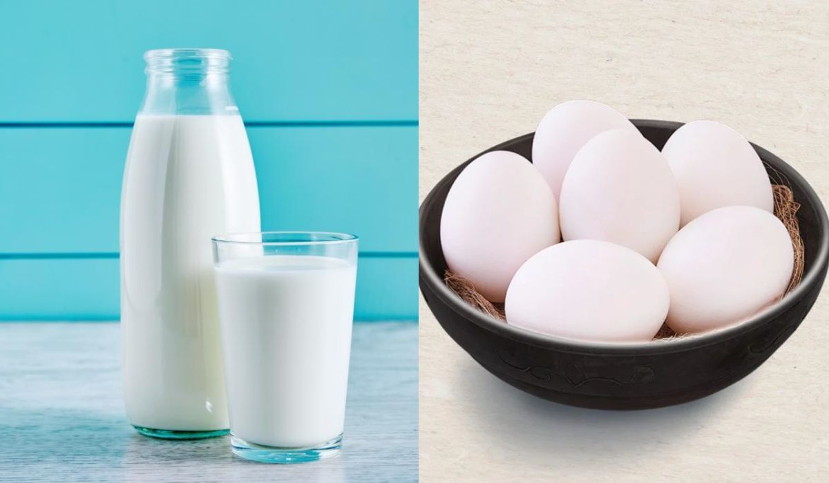 Egg or Milk : अंडे की दूध ? काय आहे आरोग्यासाठी अधिक फायदेशीर