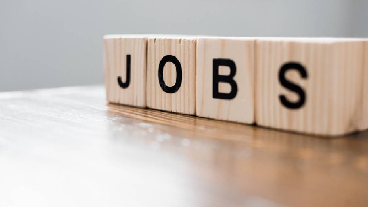 ही भरती प्रक्रिया 200 पदांसाठी पार पडत आहे. नोकरीच्या शोधात असणाऱ्यांसाठी खरोखरच ही मोठी सुवर्णसंधीच म्हणावी लागेल. 