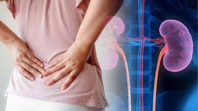 Kidney Health : या लोकांची किडनी होते लवकर खराब, डोळ्यांच्या आसपास दिसत असतील ही लक्षणं तर...
