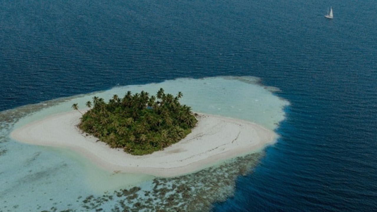 2023 मध्ये मालदीवमध्ये जाणाऱ्या पर्यटकांच्या बाबतीत भारत दुसऱ्या क्रमांकावर होता. मालदीवमध्ये जाणाऱ्या एकूण पर्यंटकांपैकी 10 टक्के पर्यटक भारतीय होते. आता भारत सहाव्या स्थानावर पोहोचला आहे. त्याचबरोबर मालदीवमधील पर्यटन बाजारपेठेतील भारताचा वाटा 6 टक्क्यांनी घसरला आहे.