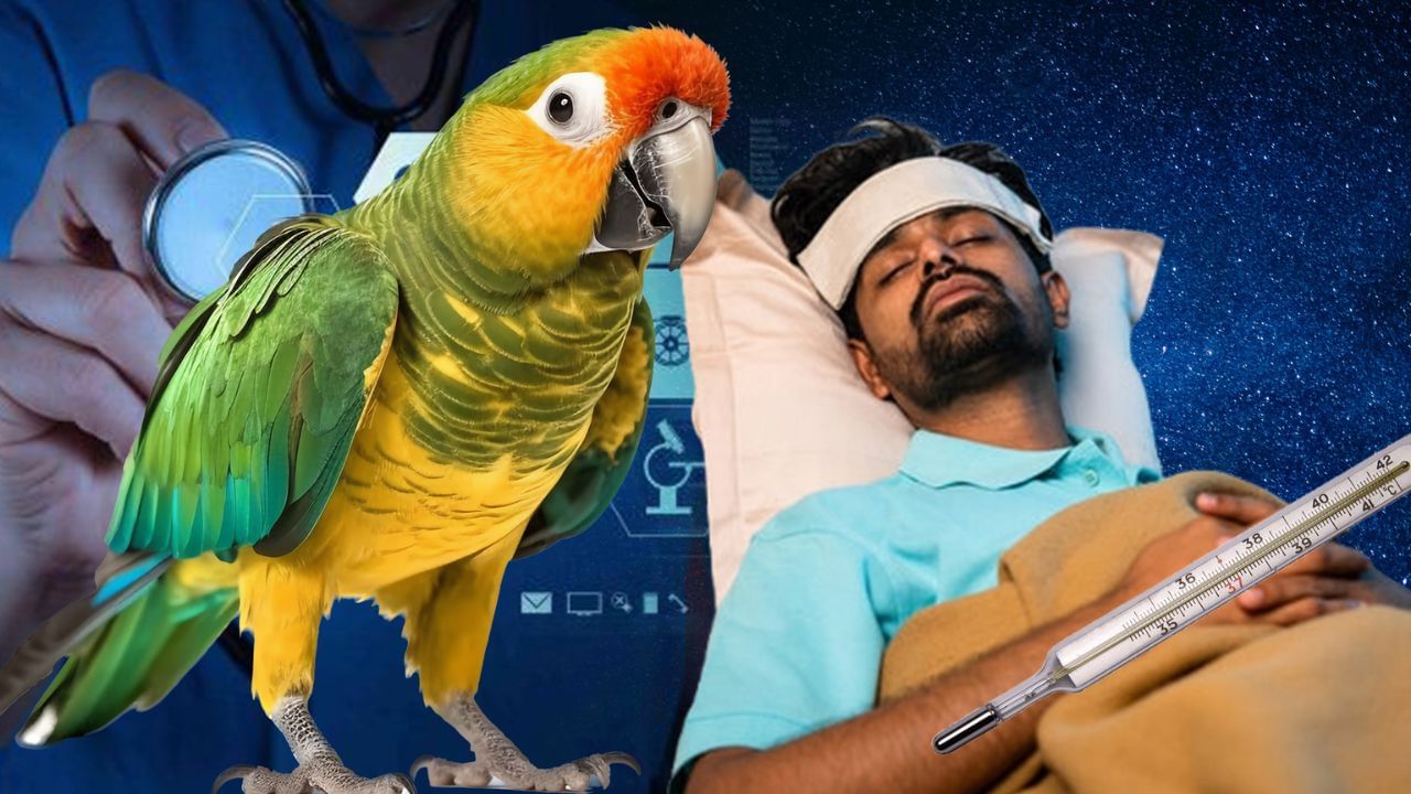 Parrot Fever | जगात नव्या पोपट तापाची साथ, 5 जणांचा मृत्यू, काय आहेत आजाराची लक्षणे?