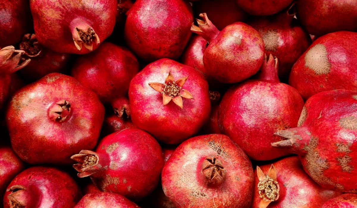 pomegranate Benefits : डाळिंब खाण्याचे फायदे मोठे, पण अशा लोकांनी करु नये सेवन