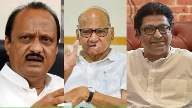 शरद पवार आणि अजितदादा आतून एकत्रच?; राज ठाकरे यांचा दावा काय?