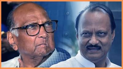 सुप्रीम कोर्टाने अजित पवार गटाला फटकारले, स्वतःची ओळख निर्माण करा, शरद पवारांचा फोटो वापरण्यास बंदी