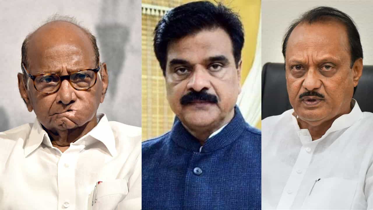 'हा विंचू आधी आम्हाला डसला, आता महादेवाच्या पिंडीवर...', शिवतारेंचा कोणत्या पवारांवर हल्लाबोल?