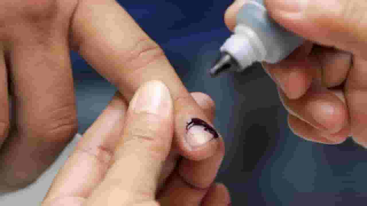 Lok Sabha Election 2024 : डबल मतदान कराल तर गोत्यात याल... निवडणूक आयोगानं काय दिला इशारा?