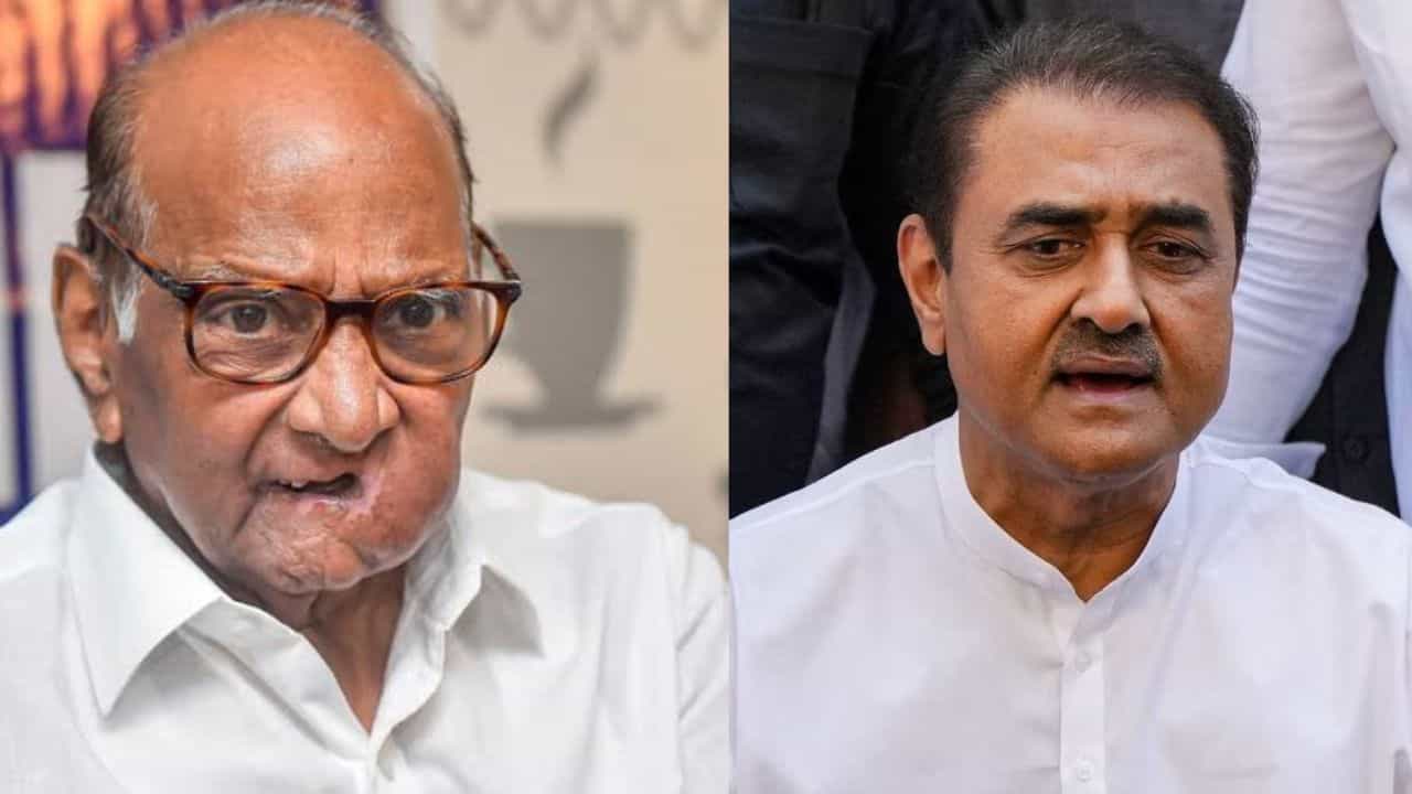 शरद पवार महायुतीत येणार? 4 जूननंतर राजकारणात काय घडणार? प्रफुल्ल पटेलांचं मोठं वक्तव्य