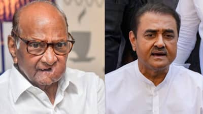 शरद पवार महायुतीत येणार? 4 जूननंतर राजकारणात काय घडणार? प्रफुल्ल पटेलांचं मोठं वक्तव्य