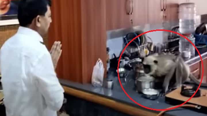 'वंचित'च्या बी.डी चव्हाणांचं अर्ज दाखल करण्यापूर्वी औक्षण अन् माकडाची एन्ट्री, पुढे काय घडलं, बघा व्हिडीओ 'वंचित'च्या बी.डी चव्हाणांचं अर्ज दाखल करण्यापूर्वी औक्षण अन् माकडाची एन्ट्री, पुढे काय घडलं, बघा व्हिडीओ