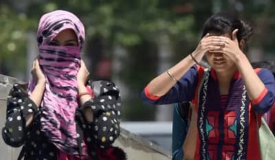 उन्हाचा तडाखा वाढला, अनेक भागात उष्णतेच्या लाटेबाबत अलर्ट