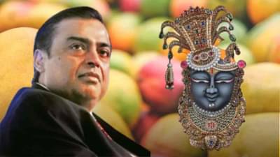 Mukesh Ambani : आंबा उत्पादनातही मुकेश अंबानी अव्वल, त्यांची आंब्याची बाग कुठे, कितीशे एकरमध्ये पसरलीय माहितीय का?