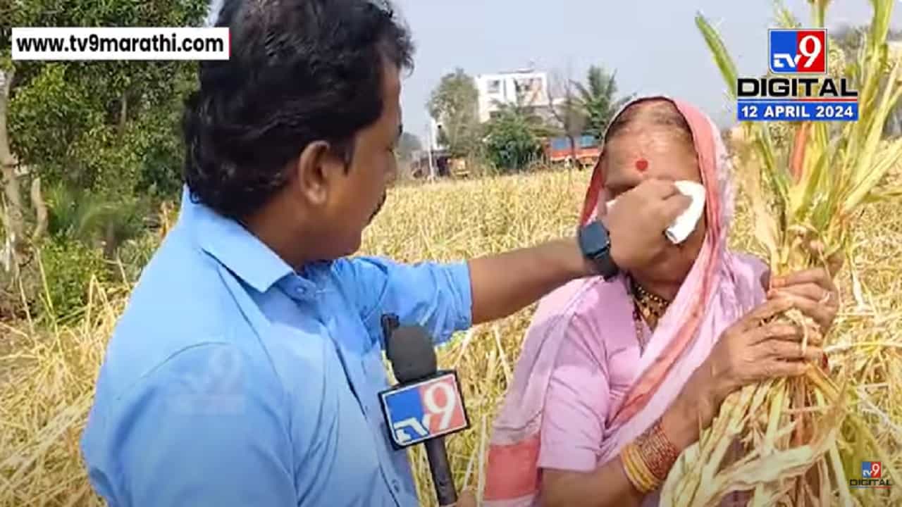 बीड जिल्ह्यात अवकाळीसह गारपीट; पीक डोळ्यादेखत वाया अन् बळीराजा हवालदिल