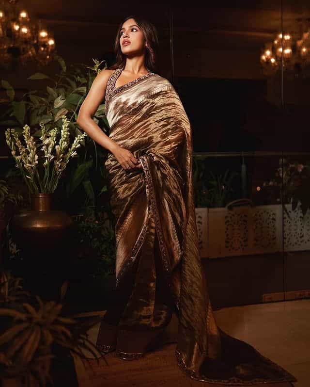 अभिनेत्री भूमी पेडणेकर (Bhumi Pednekar) हिने सोशल मीडियावर स्वतःचे काही फोटो पोस्ट केले आहे. साडीत अभिनेत्रीने हटके फोटोशूट केलं आहे. साडीत अभिनेत्री सुंदर दिसत आहे.