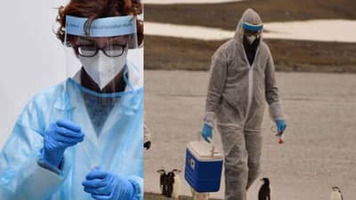 कोरोनापेक्षा 100 पट धोकादायक महामारी, तज्ज्ञांकडून नव्या एच5एन1 व्हायरसबाबत चिंता