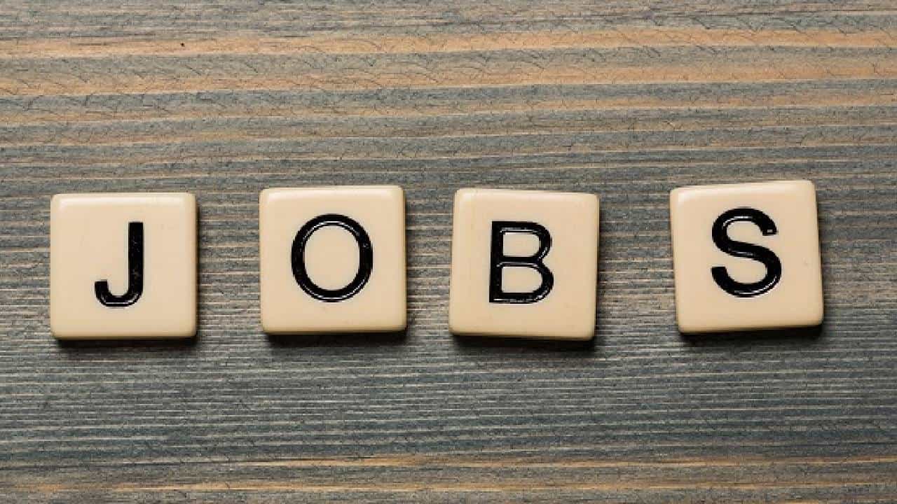 वाणिज्य आणि उद्योग मंत्रालयात नोकरी करण्याची संधी, या पदांसाठी भरती सुरू, मोठी संधी