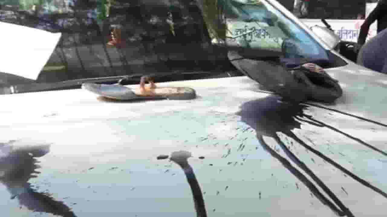 मराठा समाज गप्प बसणार नाही, ओबीसी नेते प्रकाश शेंडगेंना धमकी अन् गाडीवर शाईफेक; नेमकं घडलंय काय?