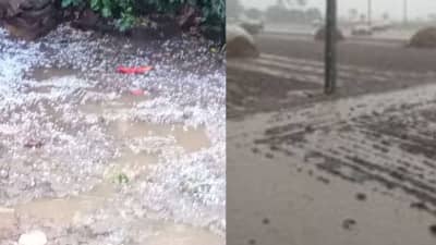 हाता तोंडाशी आलेला घास हिरवला, शेतकरी हवालदिल, महाराष्ट्रातील 6 जिल्ह्यांमध्ये गारपीट आणि अवकाळी पावसाचा धुमाकूळ