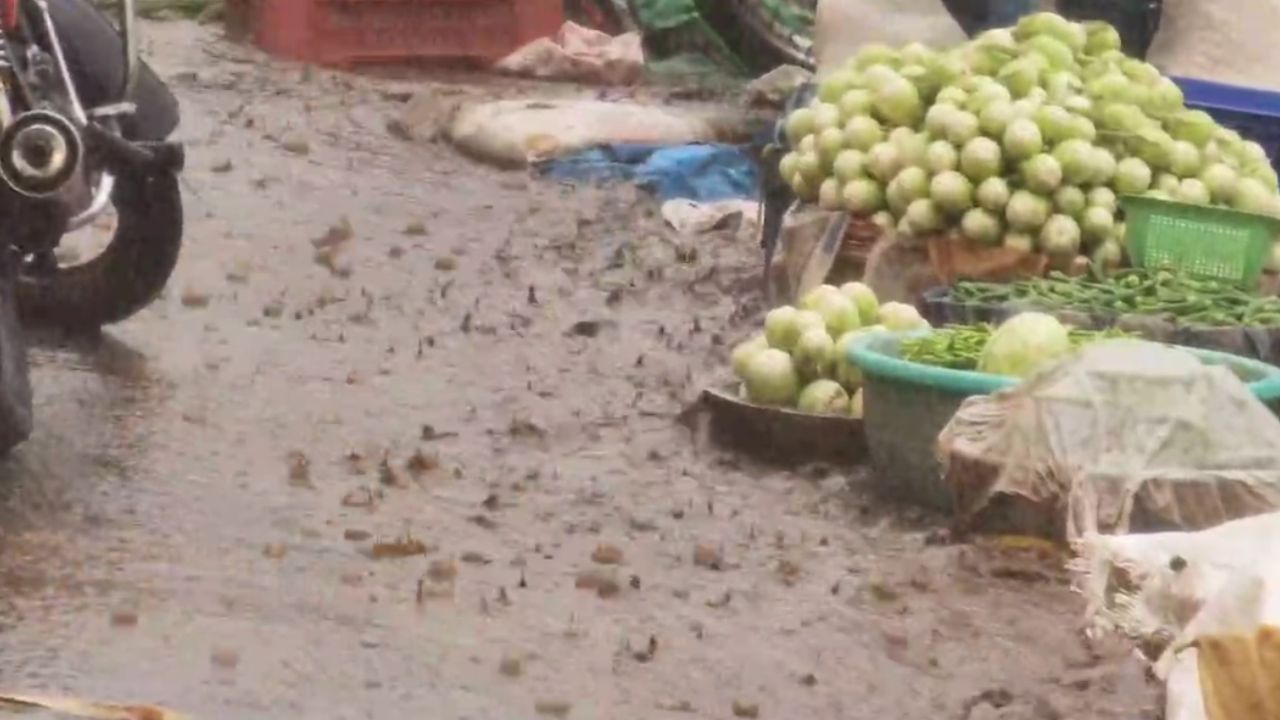 कोल्हापूर उपनगरासह करवीर तालुक्यातील काही भागात रविवारी सायंकाळी पावसाने चांगलाच धुमाकूळ घातला. वळवाच्या आलेल्या पावसाने नागरिकांची चांगलीच तारांबळ उडवली. अनेक ठिकाणी आठवडा बाजारात शेतकऱ्यांच्या मालाचे नुकसान झाले. 