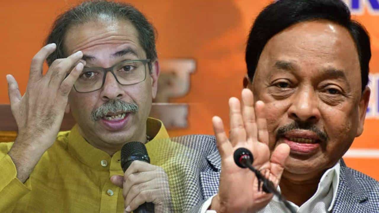 उबाठा म्हटलं की उलटी आल्यासारखं वाटतं, राणेंची खोचक टीका, बघा काय म्हणाले?