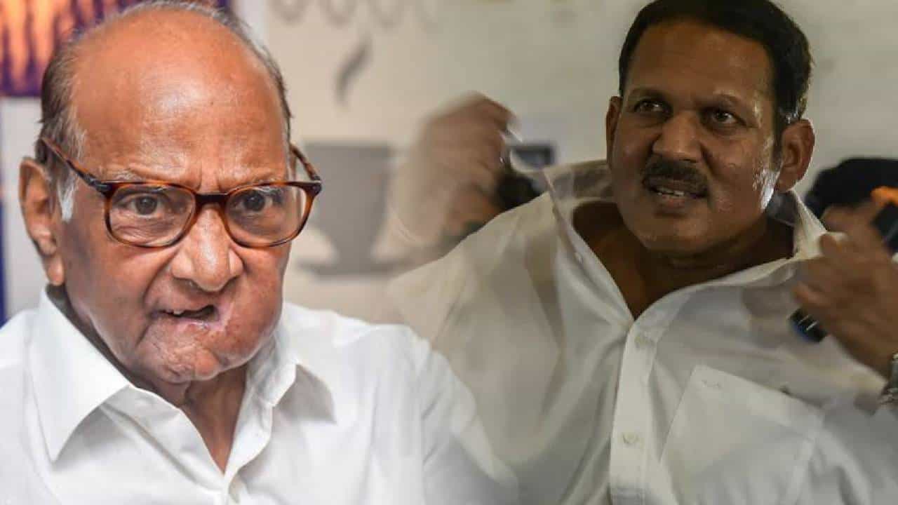 'कॉलर उडवताना सकाळ की संध्याकाळ पहावं ...', शरद पवारांचा उदयनराजेंना खोचक टोला