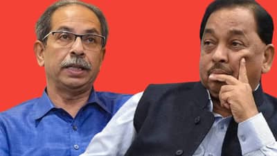 बाळासाहेब गेले अन् उद्धव ठाकरे यांनी त्यांचे रुद्राक्ष फेकले; नारायण राणे यांचा गंभीर आरोप