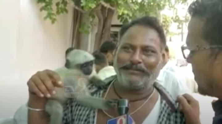 दुसऱ्या टप्प्यात अनोख्या मतदाराची चर्चा, थेट माकड कडेवर घेऊन केलं मतदान दुसऱ्या टप्प्यात अनोख्या मतदाराची चर्चा, थेट माकड कडेवर घेऊन केलं मतदान