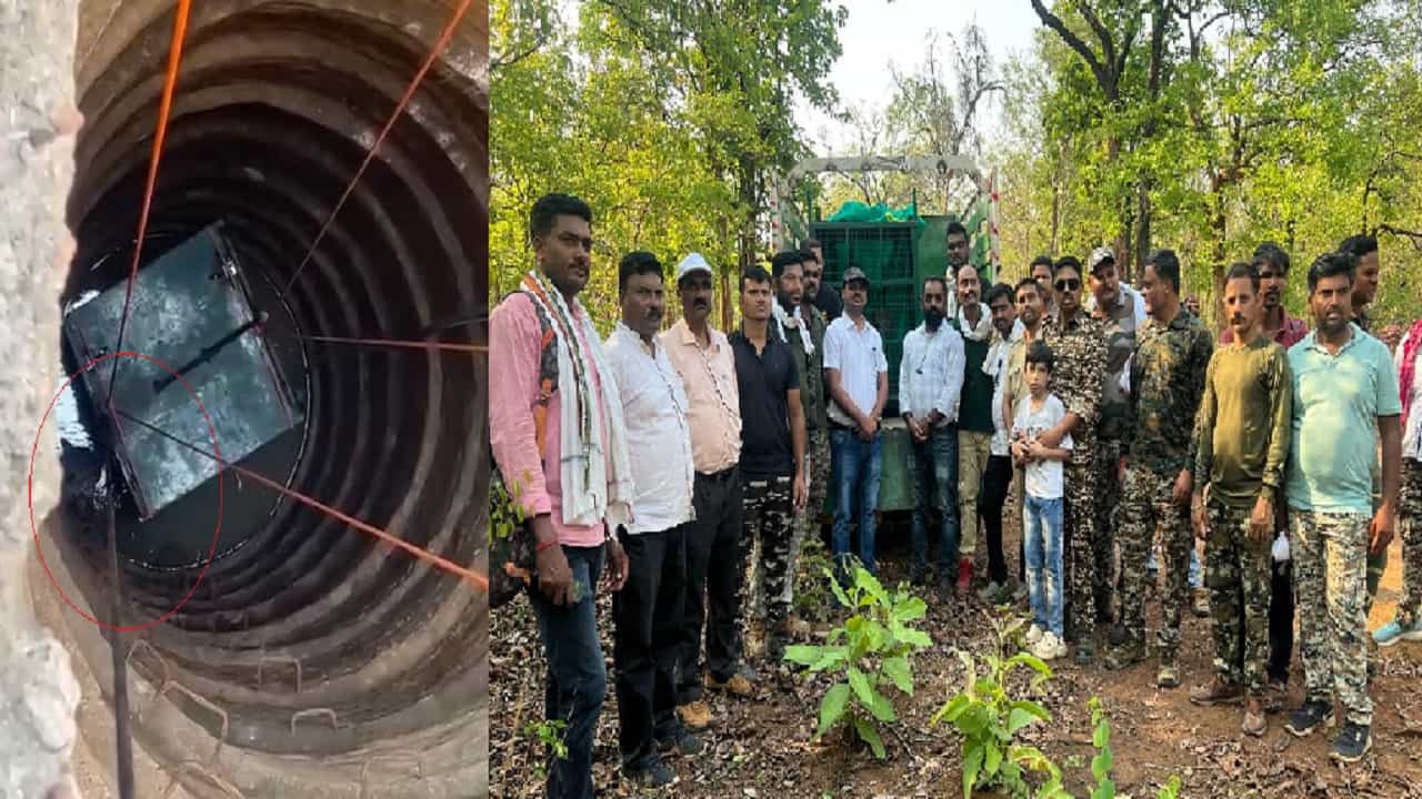 पाण्याच्या शोधात शिवारात घुसला बिबट्या, विहिरीत पडला अन्... पाण्याच्या शोधात शिवारात घुसला बिबट्या, विहिरीत पडला अन्...