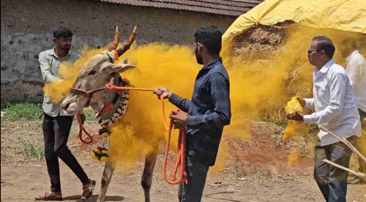 शेतकऱ्याचा नाद करायचा नाही; 21 लाखांना खरेदी केला किटली