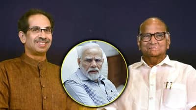 उद्धव ठाकरे निवडणुकीनंतर भाजपसोबत जातील का?, शरद पवार यांचं मोठं विधान; चर्चांना उधाण