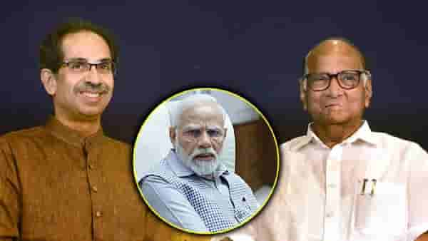 उद्धव ठाकरे निवडणुकीनंतर भाजपसोबत जातील का?, शरद पवार यांचं मोठं विधान; चर्चांना उधाण
