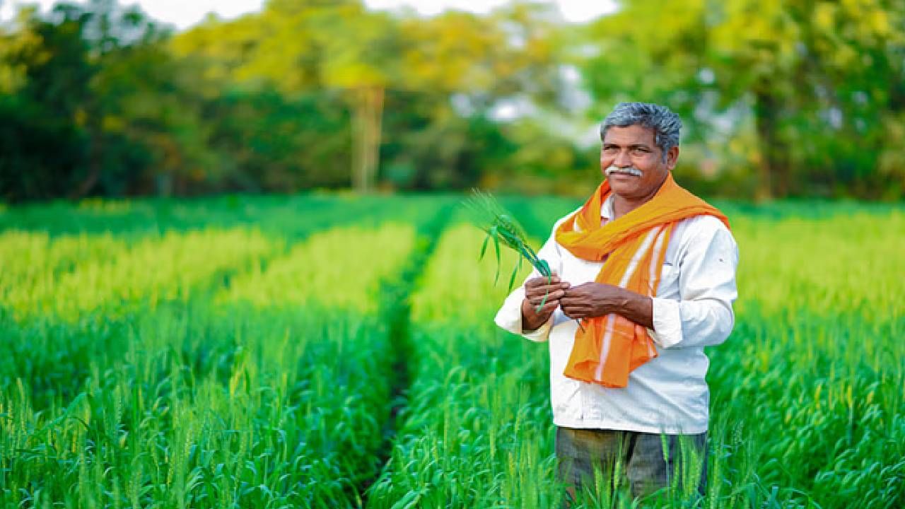 आता आणखी एक नवीन पेज उघडेल. याठिकाणी तुम्हाला विचारण्यात आलेली सर्व माहिती, तपशील नोंदवा. ही संपूर्ण माहिती दिल्यानंतर एक कॅप्चा कोड दिसेल. तो नोंदवा. 