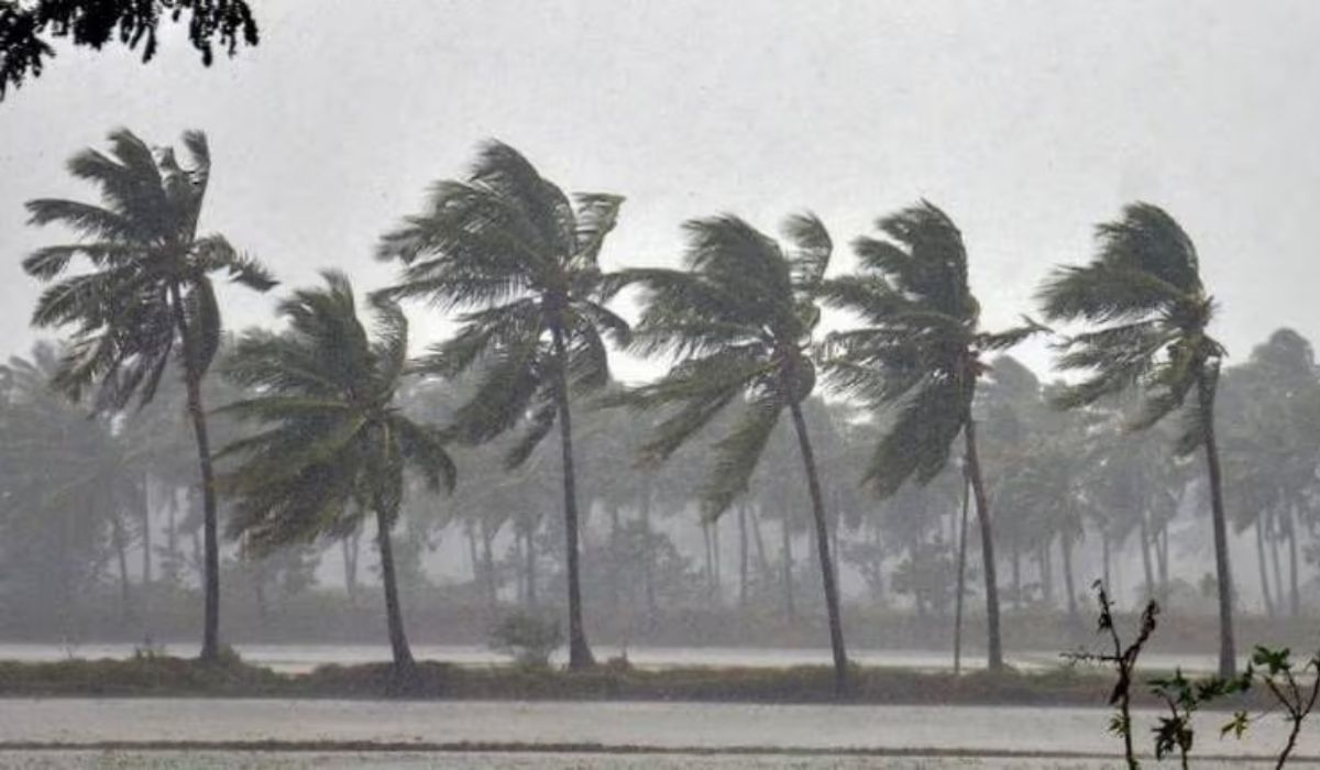 मुंबईसह राज्यात या दिवशी होणार पावसाला सुरुवात, Monsoon बाबत आली मोठी बातमी