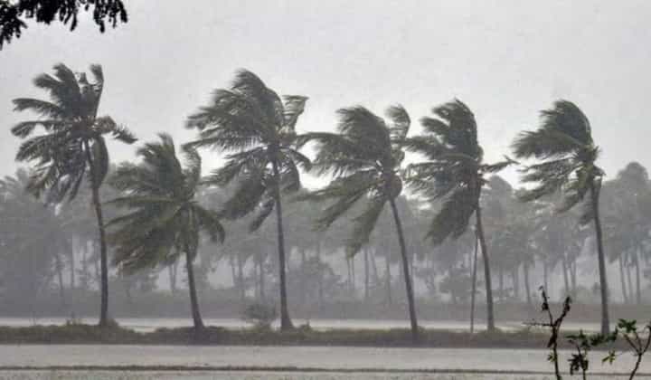 Kokan Rain Forecast : कोकणवासियांसाठी मोठी बातमी; कोकणात ऑरेंज अलर्टसह पुढील पाच दिवस... Kokan Rain Forecast : कोकणवासियांसाठी मोठी बातमी; कोकणात ऑरेंज अलर्टसह पुढील पाच दिवस...